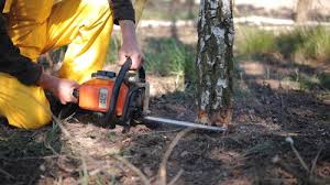 Best Lawn Drainage Solutions  in Hatch, NM