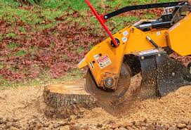 Best Organic Lawn Care Solutions  in Hatch, NM