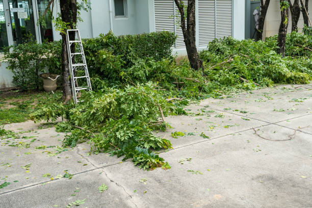 Best Aeration Services  in Hatch, NM